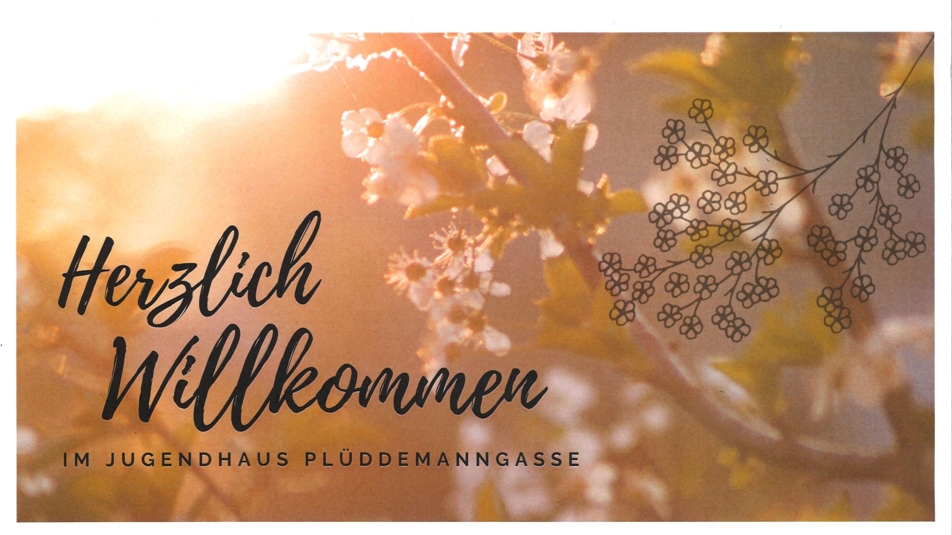 Das Team des Jugendhauses Plüddemanngasse heißt Sie auf unserer Homepage Herzlich Willkommen. Hintergrund in gelb-orangen Farbtönen mit Frühlingsblumen.